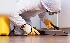 Best Termite Inspection and Treatment  in Twinsburg, OH